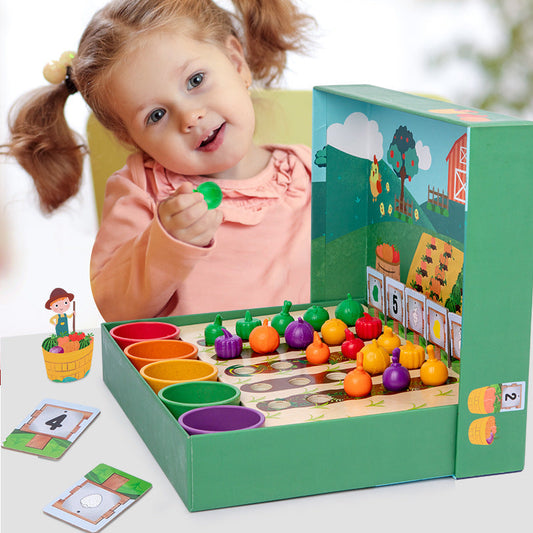 Montessori Sortierset mit Farben und Zahlen für kreatives Lernspiel