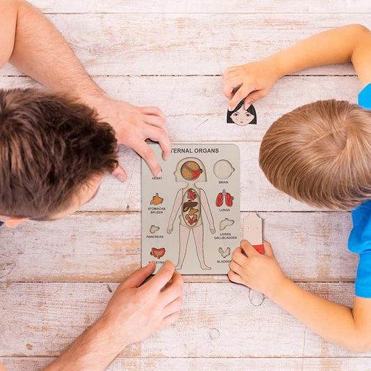 Entdecke den menschlichen Körper mit unserem faszinierenden Anatomie-Holzpuzzle
